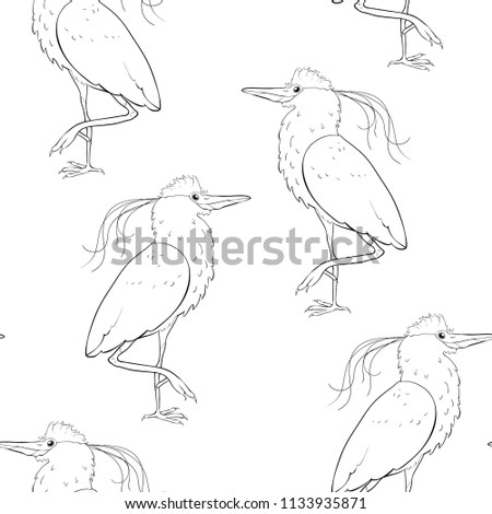 coloring seamless pattern South American kvakva heron bird  vector illustration