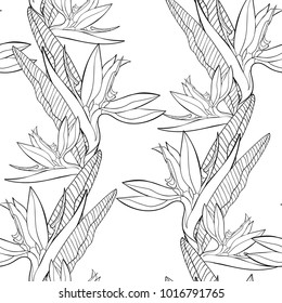 coloring  seamless pattern