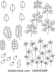 coloring set collection of leaves and berries black and white vintage vector image 