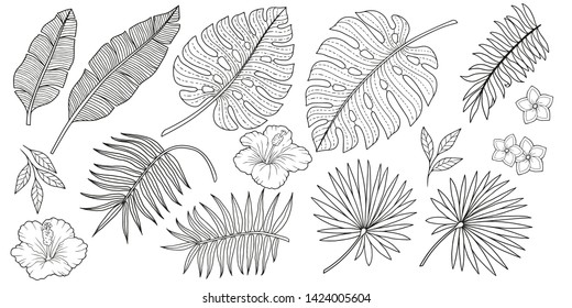 Coloring Set of different tropical plants from  banana leaves and palm trees and flower.  Vector isolated layers. Summer exotic design for invitations, posters, backgrounds
