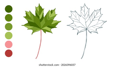 Coloring sheet with green Canadian maple leaf and color palette isolated on white background. Hand-drawn style vector illustration.