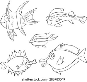 Coloring with Tropical Fish
