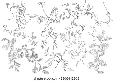 Coloring with tropical greenery set. Creepers, flowers. Monstera, philodendron, hoya. Stickers, clipart