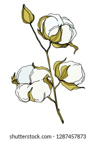 Coloring vecctor cotton for decoration
