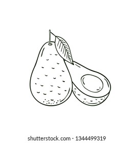 Coloring vector hand drawn fruit avocado. Decorative retro style collection farm product restaurant menu, market label