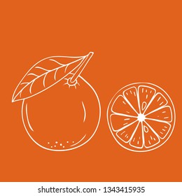 Coloring vector hand drawn orange fruit on orange background. Decorative retro style collection farm product restaurant menu, market label
