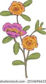 Coloring wild flower botanical illustration