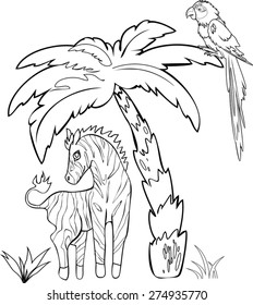 Coloring with zebra and palm