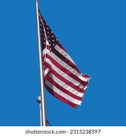Colorized United States flag in vector