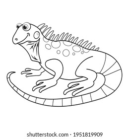 Colorless cartoon Iguana. Coloring pages. Template page for coloring book of funny lizard or salamander for kids. Practice worksheet or Anti-stress page for child. Cute outline education game. EPS10