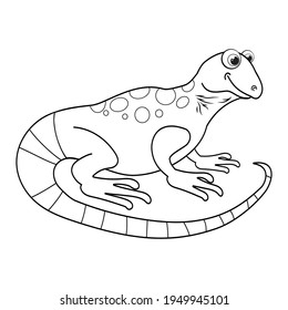 Colorless cartoon Lizard. Coloring pages. Template page for coloring book of funny iguana or salamander for kids. Practice worksheet or Anti-stress page for child. Cute outline education game. EPS10