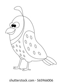 Colorless cartoon quail.