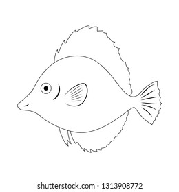 Colorless fish vector illustration isolated on white background. Coloring book page for children.