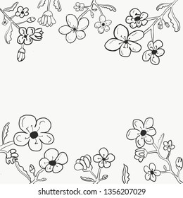 The colorless flowers frame in vector.