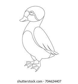 Colorless funny cartoon eider duck. Vector illustration. Coloring page. Preschool education. Arctic birds
