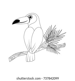 Colorless funny cartoon toucan. Vector illustration. Coloring page. Preschool education. 