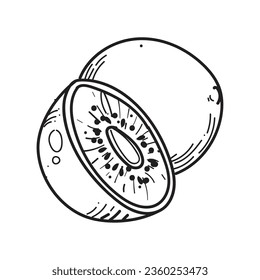 colorless kiwi illustration vector isolated