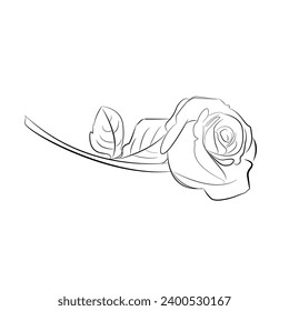 colorless rose flower vector illustration image,