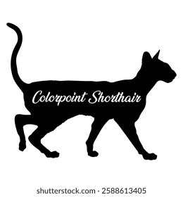 Colorpoint sherthorthair. cat silhouette, cat, cat breeds, logo, vector, silhouette,  animal, illustration, icon, sign, design, black, symbol, pet, love
