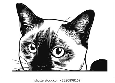 Colorpoint Shorthair cat steals hearts with a curious peek, flaunting its striking coat and captivating gaze