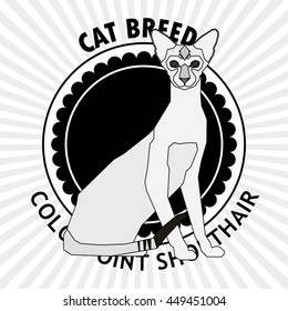 Colorpoint shorthair, Isolated cat breed, Vector illustration