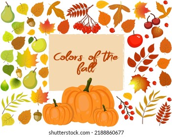 Colors of the fall background. a set of autumn elements. template for an autumn postcard