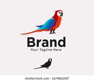 Colors parrots art logo design inspiration