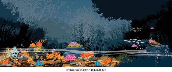 Colors of the underwater world - real underwater pictures and underwater life, the beauty of living creatures together, coral reefs, fish, rocks and beautiful and colorful sea anemones - vector
