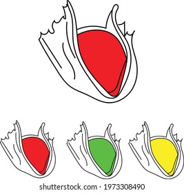 Colors Vector Design New 2021