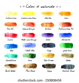 Colors of watercolor. The artistic palette. Vector