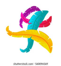 Colortfull feather illustration