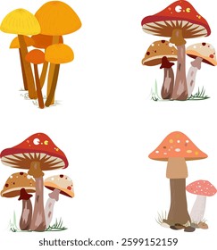 Colotful Mashroom Vector art Illustration Set