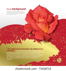 Colour abstract background for design. A vector illustration