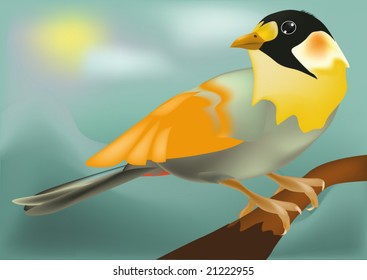 colour bird on a branch