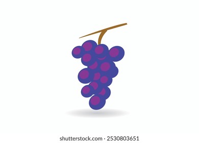 colour grape vector style commercial