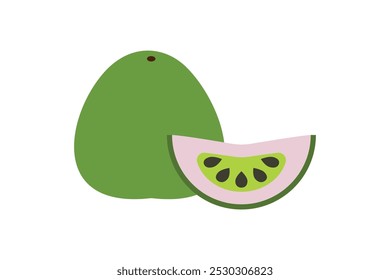 colour guava art vector style
