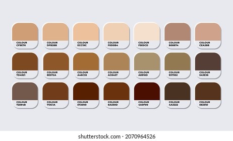 Colour Guide Palette Catalog Samples SKINTONES color  in RGB HEX. Neomorphism Vector