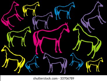colour horse