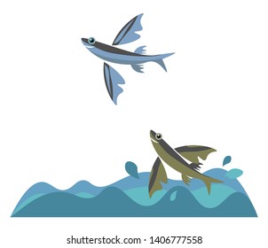 A colour illustration of flying fish in water, vector, color drawing or illustration. 