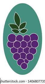 Una ilustración de color de las uvas, vector, dibujo de color o ilustración. 