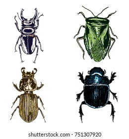 Colour Insect stipple drawing set isolated. Insects and bugs collection in trendy embroidery stippling and hatching, shading style. Vector.