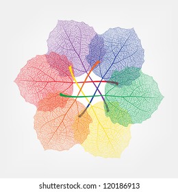 colour leaves on a white background