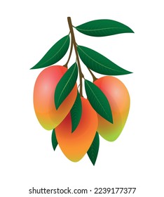 Rama de mangos de color. Mangos rojos maduros feto realistas aislados en fondo blanco, zumo de cosecha 3d color delicioso de frutos de mango camino de árbol con hojas ilustración vectorial