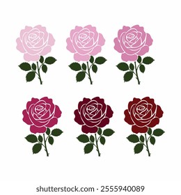 colour rose vector silhouette image