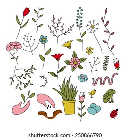 Colour set of spring plants, flowers and animals