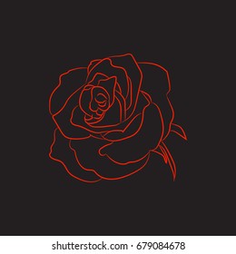 Colour sketch, silhouette rose flower on black background, vector illustration