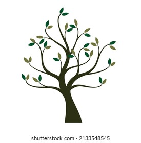 Colour Tree Vector Outline Illustration Stock Vector (Royalty Free ...