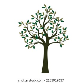 Colour Tree. Vector outline Illustration.