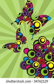 coloured butterflies