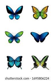 Coloured butterflies collection. Vector illustration